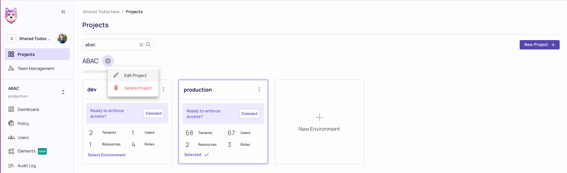 Project Filtering, Editing & Deleting